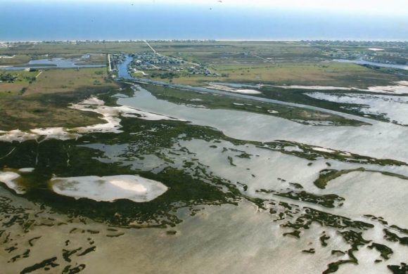 Big News! Artist Boat Secures Funding to Expand Preserve! Big News! Artist Boat Secures Funding to Expand Preserve!
