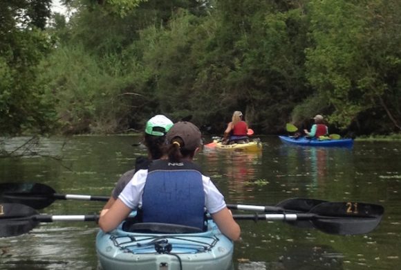 Kayak Adventure Armand Bayou