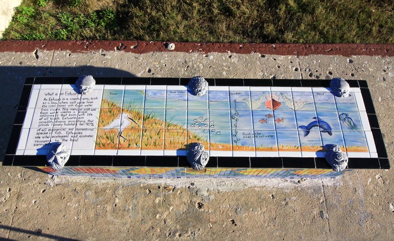 What is an Estuary?