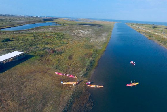 Kayak Tours on Galveston Bay - Educational and Fun ...