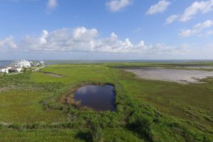Aerial View of Coastal Heritage Preserve