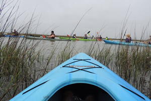 Kayak at Coastal Heritage Preserve