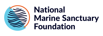 NMSF_Logo_RGB (2) (3)