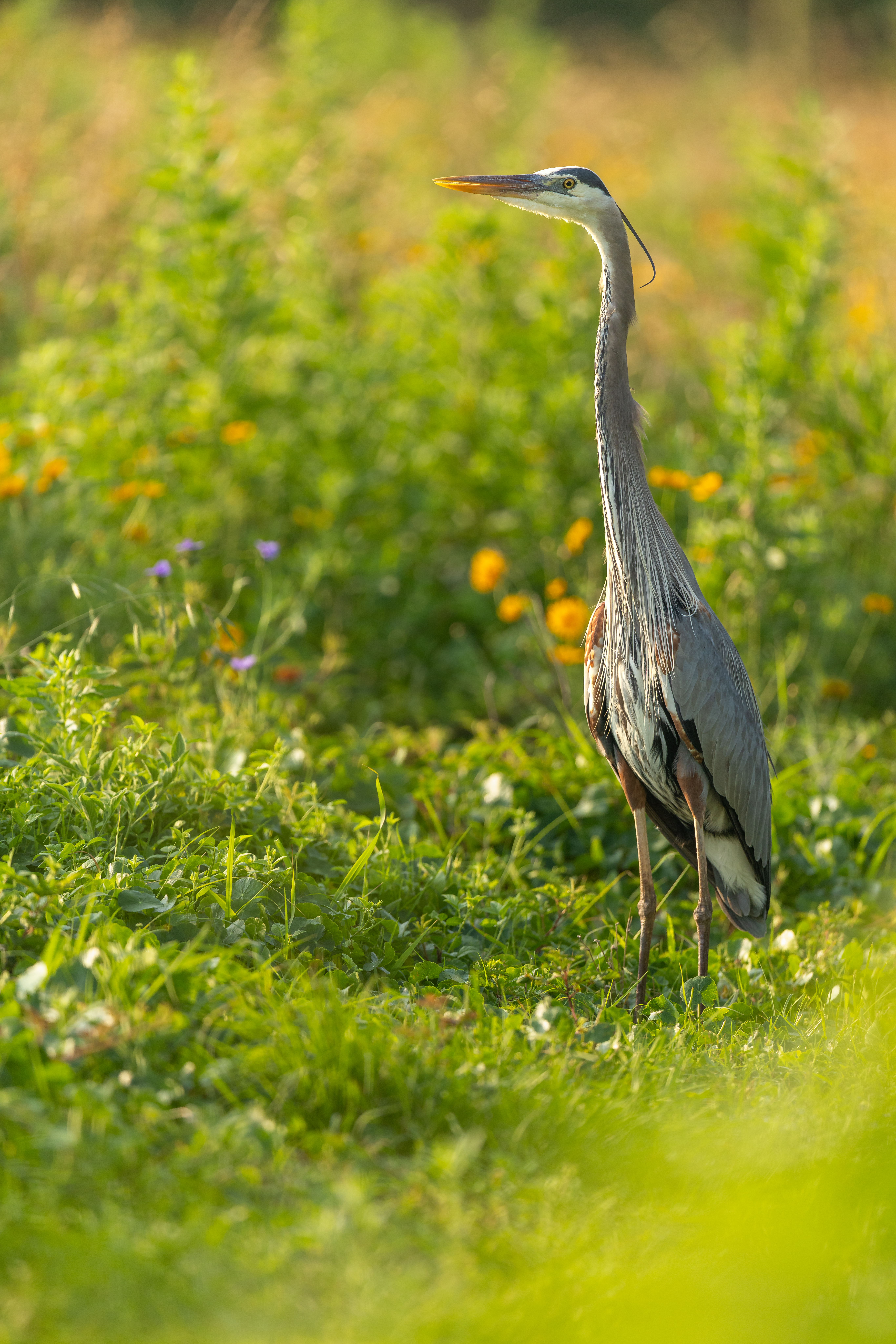 ArtistBoat_2025_Stills-2